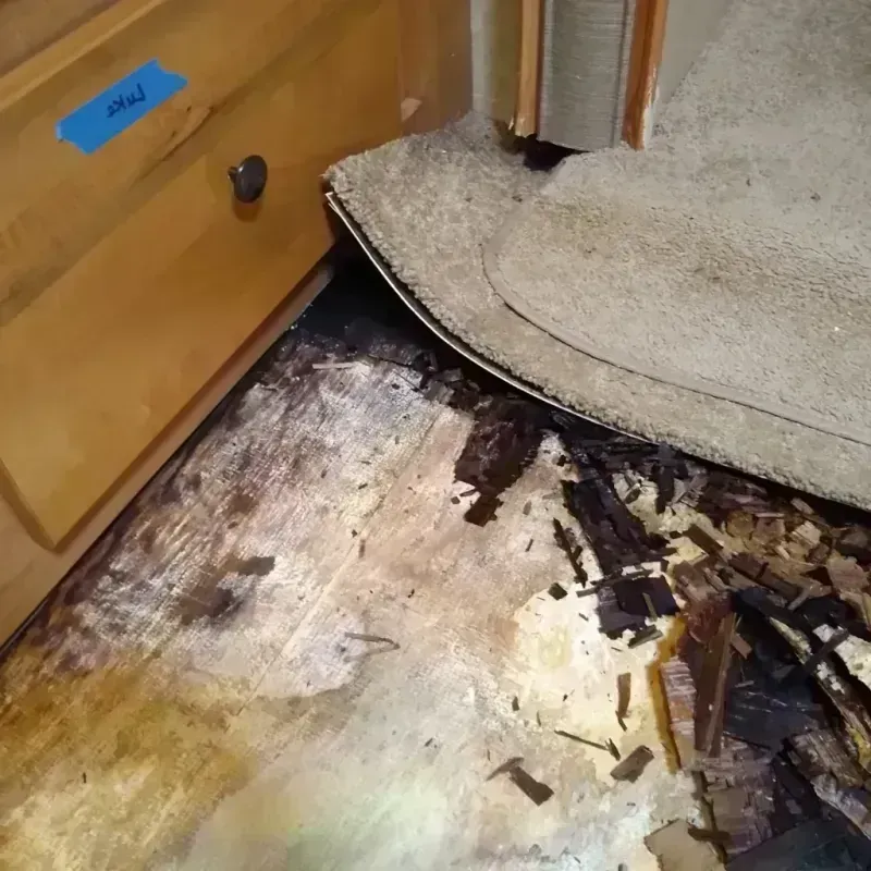 Wood Floor Water Damage in Lochearn, MD